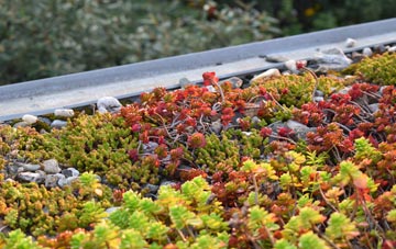 the cost of Steeleroad End green roof installation